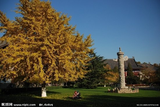 北京大学秋景