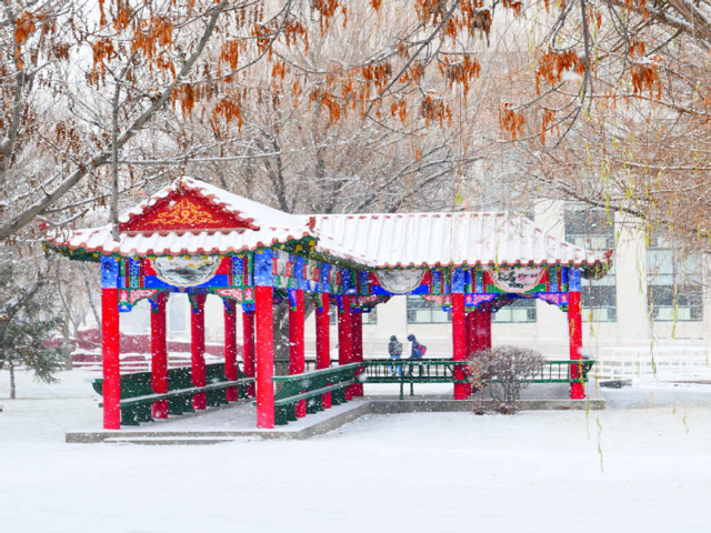 微波湖雪景