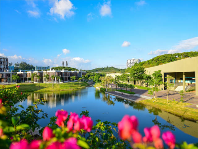 校园风景（四）